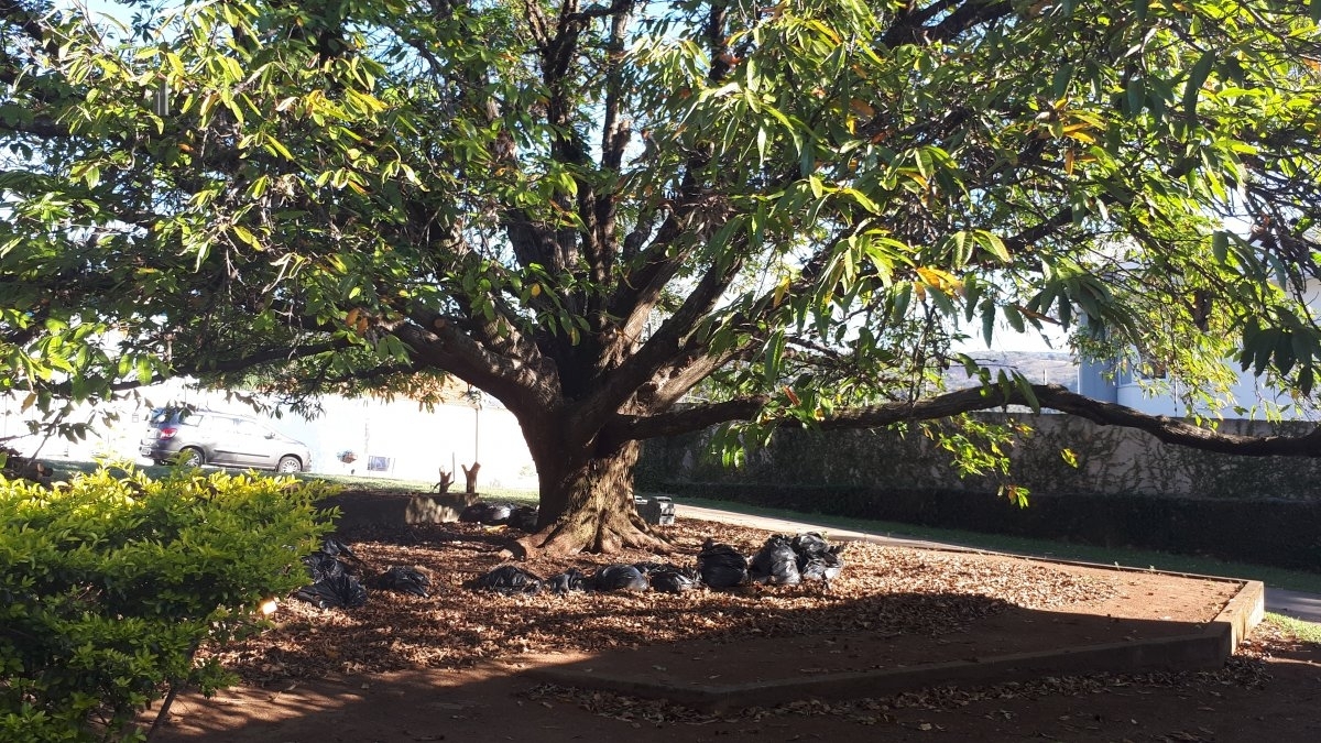 Casa, 5 quartos, 472 m² - Foto 25