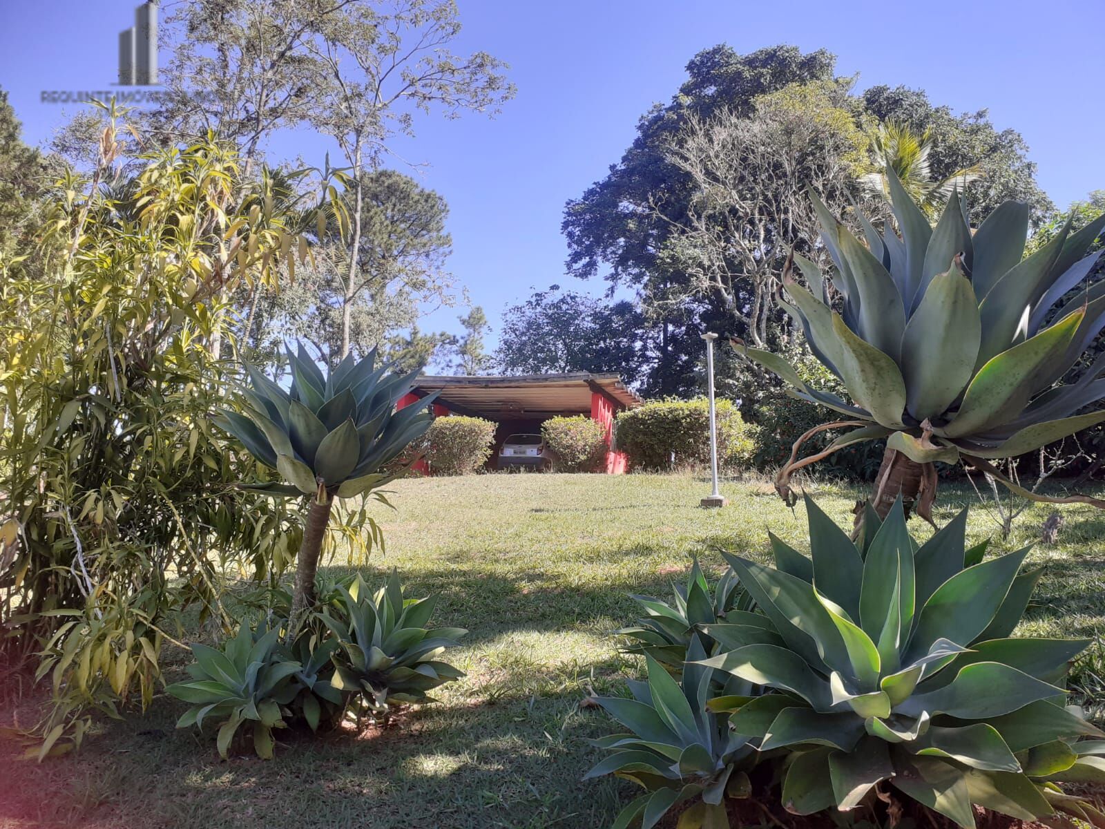 Fazenda à venda com 5 quartos, 11000m² - Foto 9