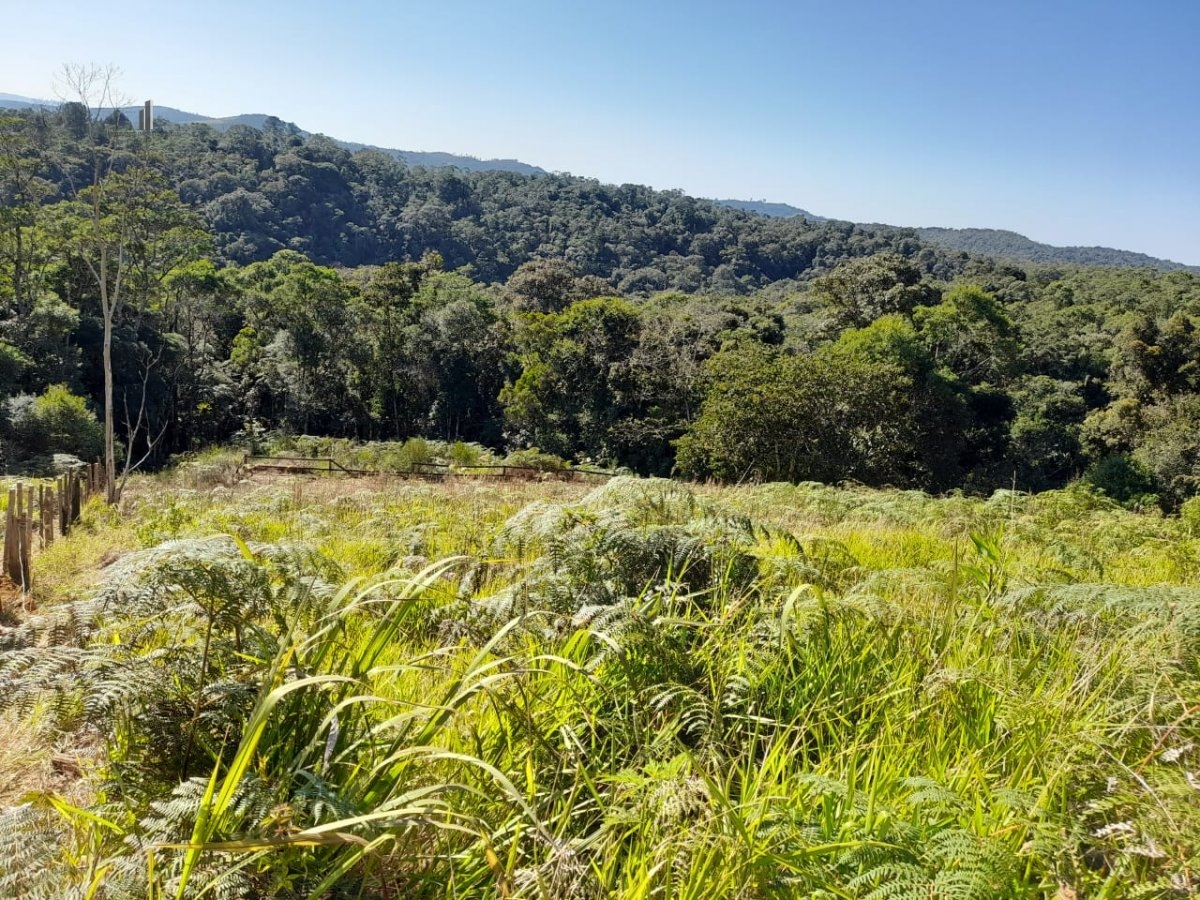 Terreno à venda - Foto 10