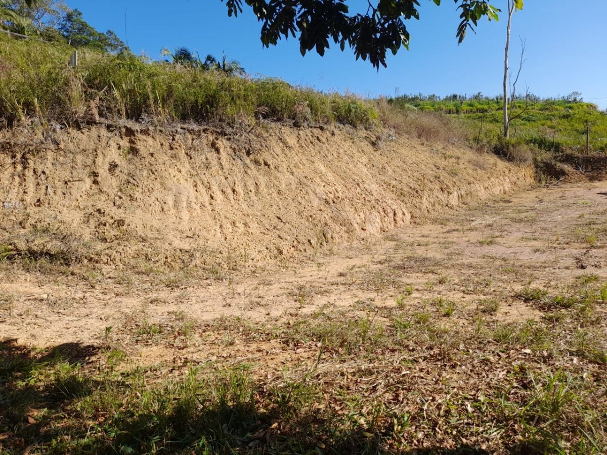 Terreno à venda - Foto 4