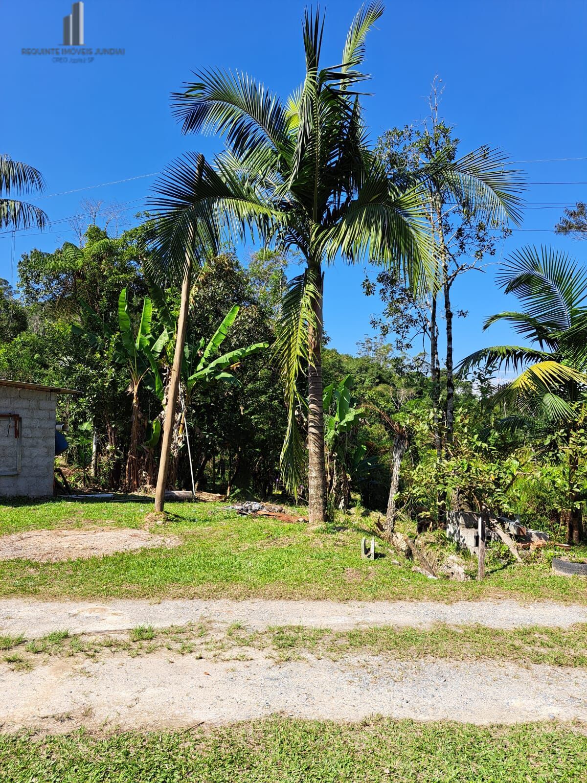 Fazenda à venda com 4 quartos, 72600m² - Foto 5