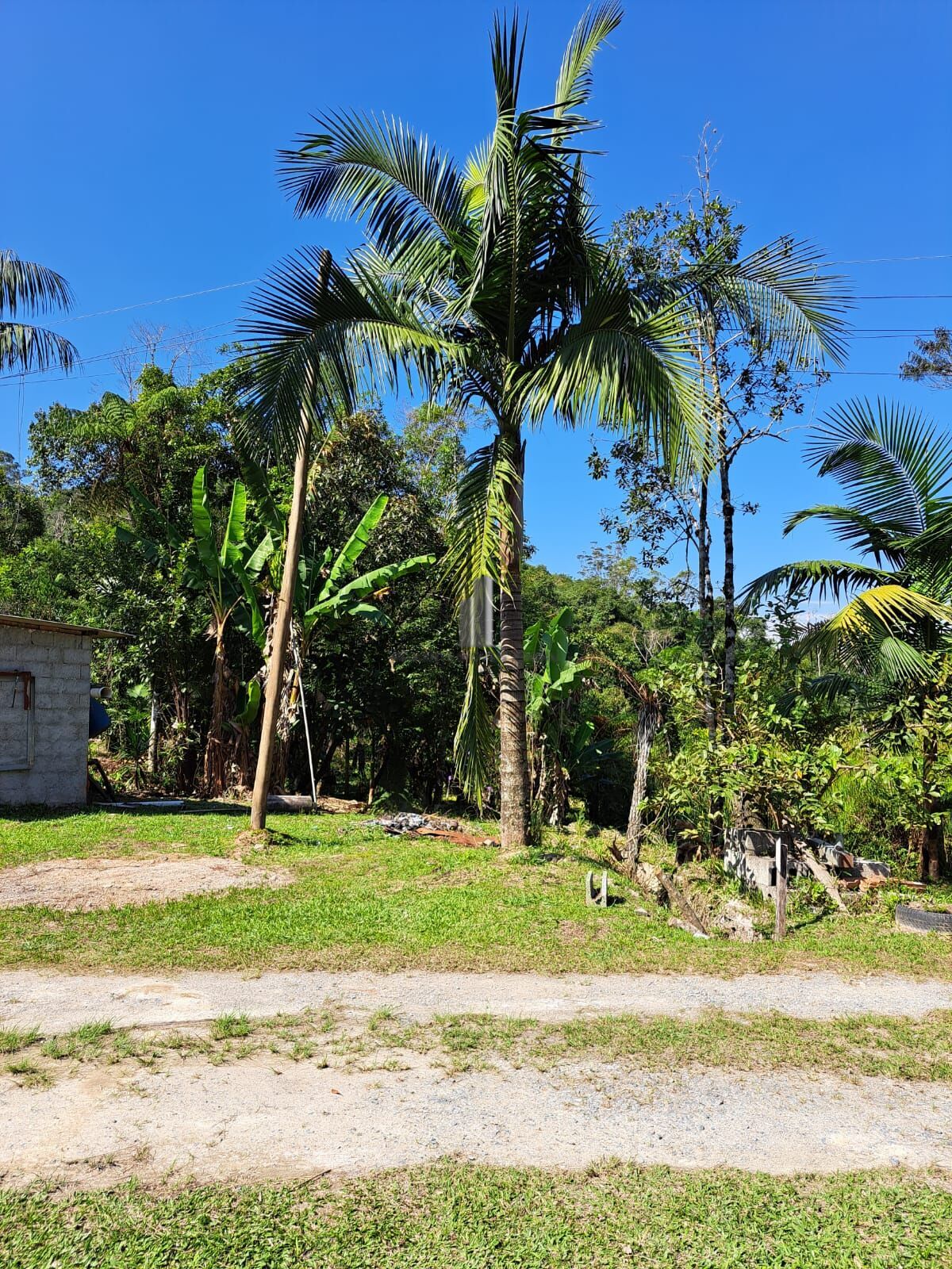 Fazenda à venda com 4 quartos, 72600m² - Foto 5