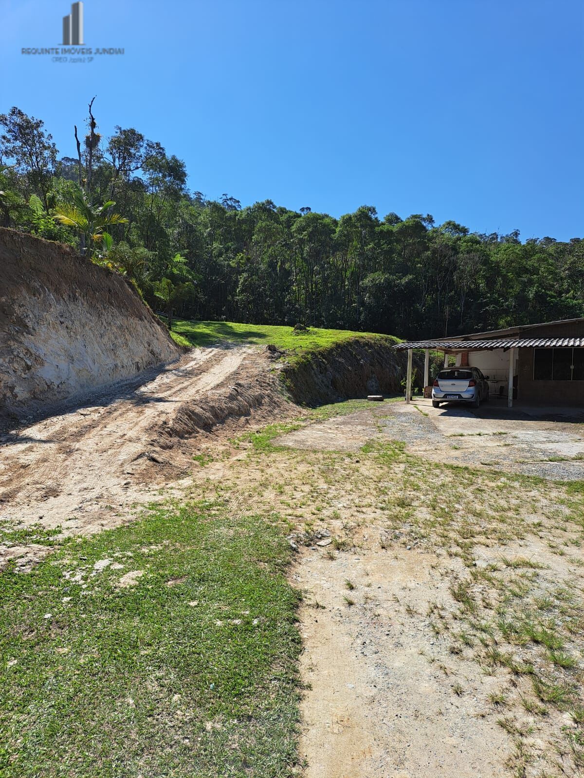 Fazenda à venda com 4 quartos, 72600m² - Foto 7