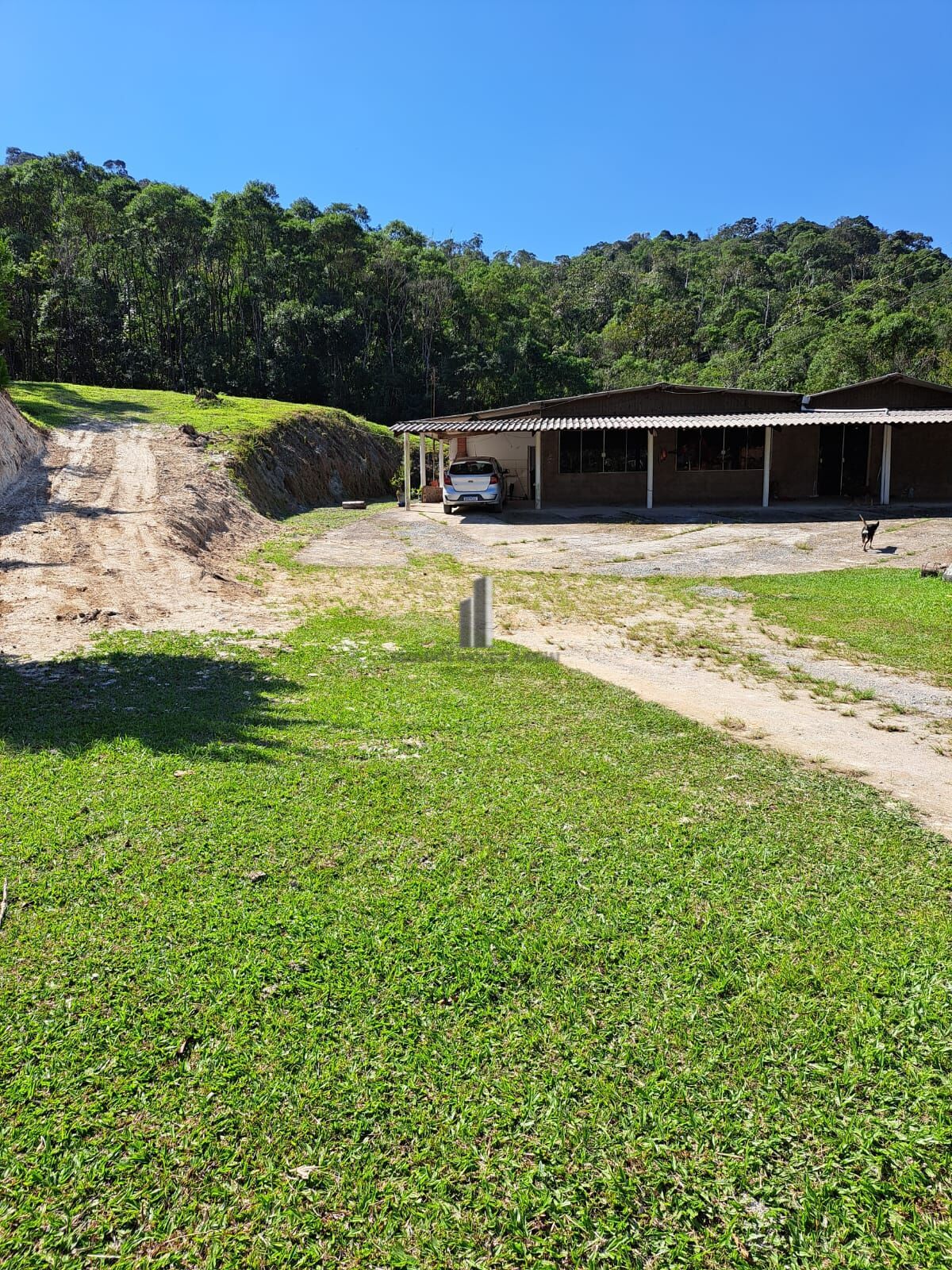 Fazenda à venda com 4 quartos, 72600m² - Foto 8