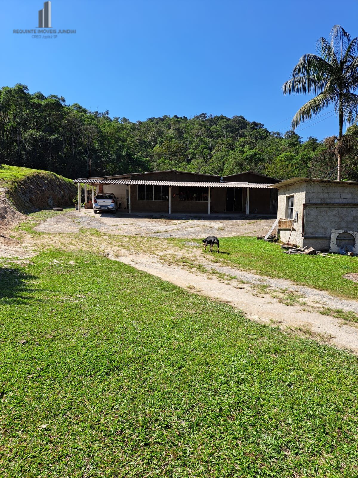 Fazenda à venda com 4 quartos, 72600m² - Foto 4