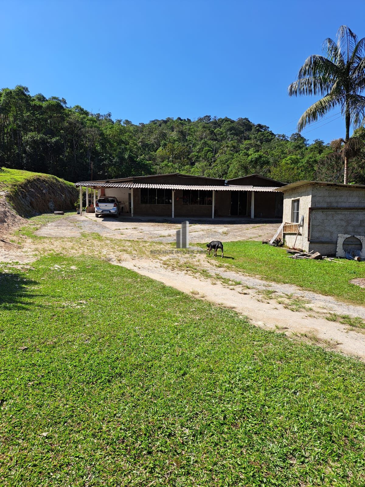 Fazenda à venda com 4 quartos, 72600m² - Foto 4