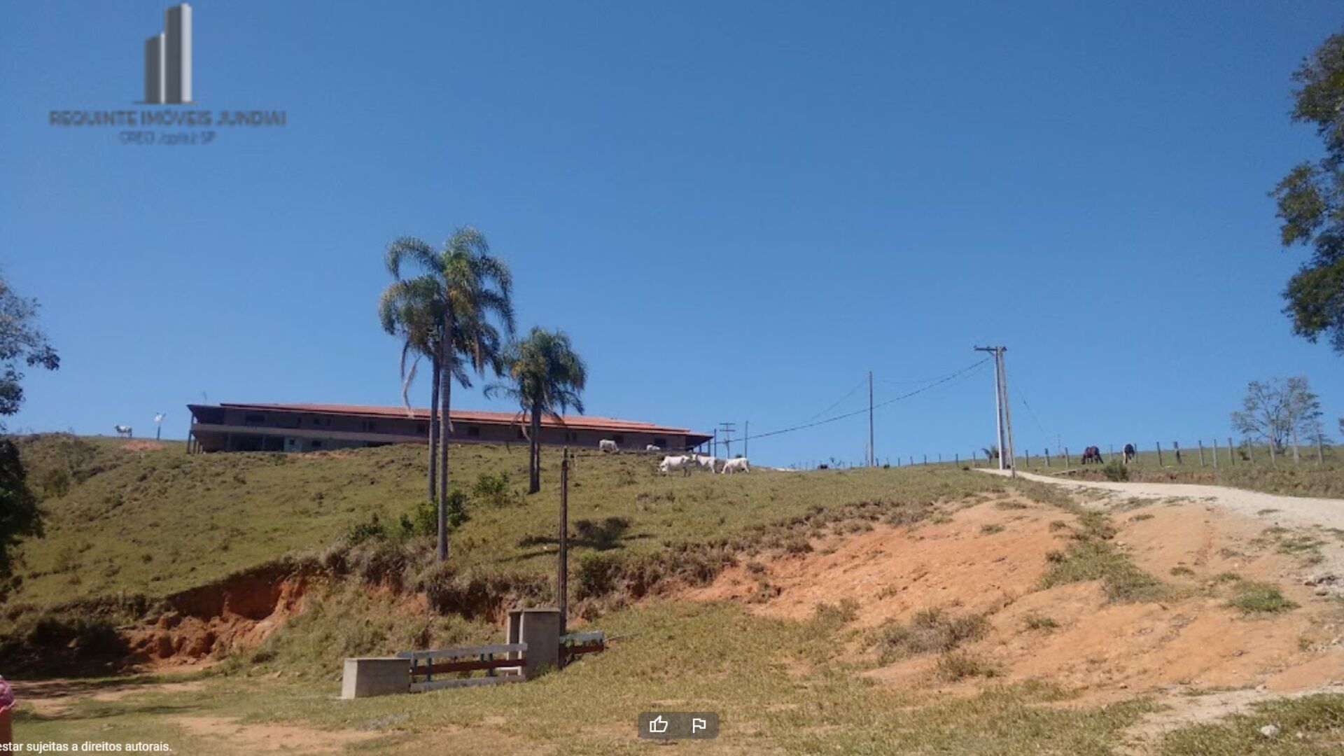 Fazenda à venda, 1210000m² - Foto 4