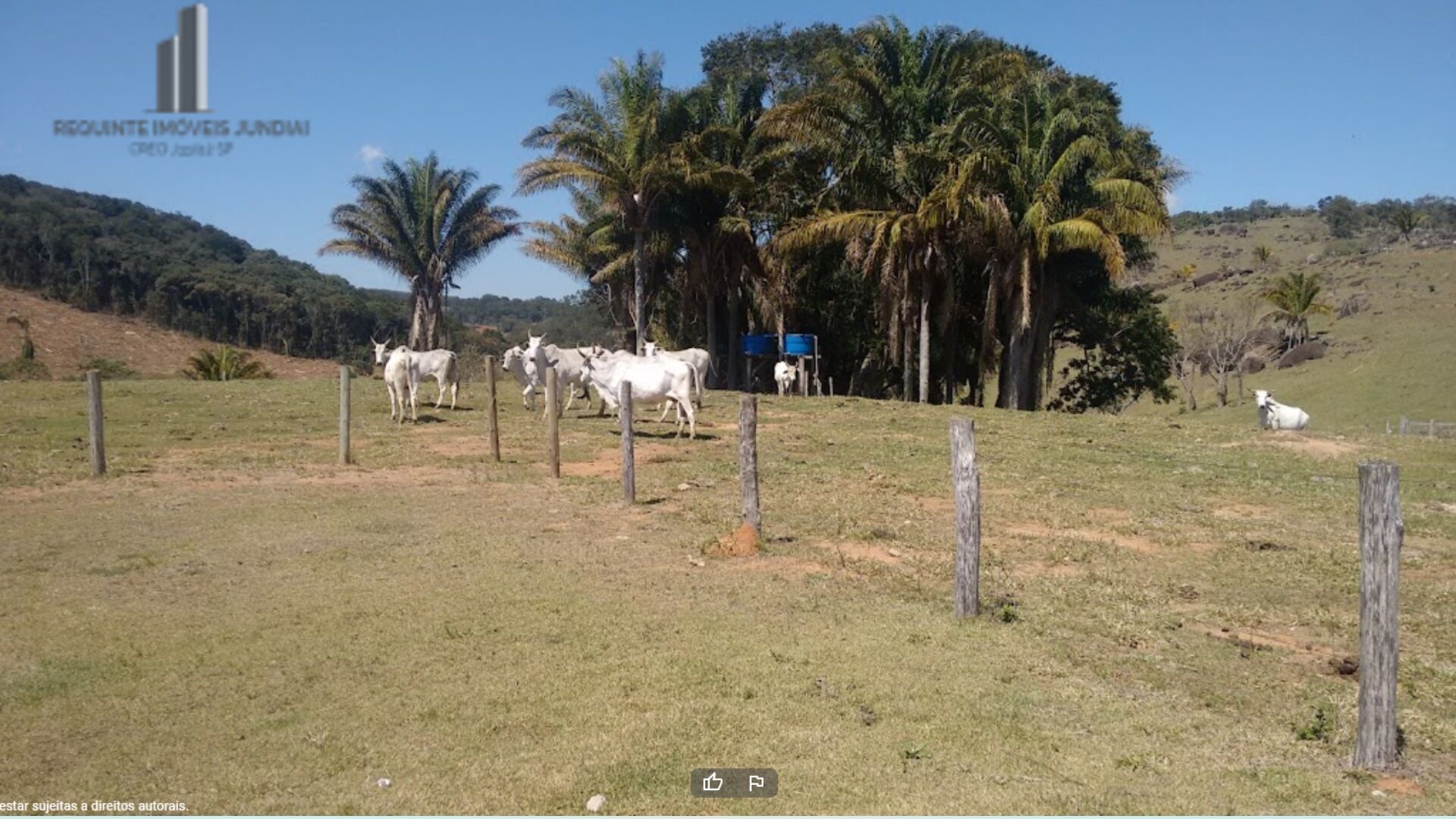 Fazenda à venda, 1210000m² - Foto 7