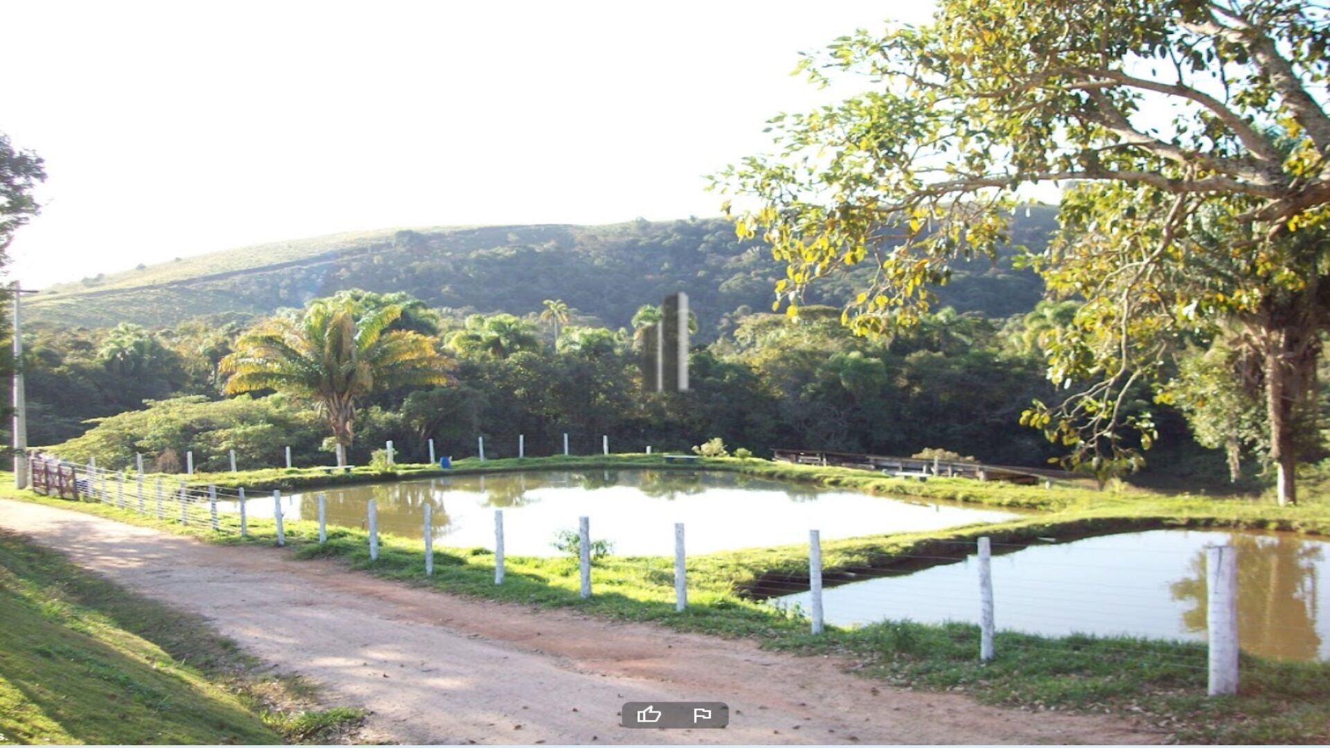 Fazenda à venda, 1210000m² - Foto 13