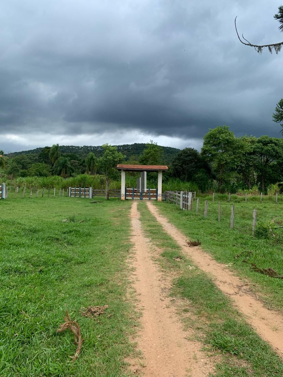 Fazenda à venda, 1210000m² - Foto 35