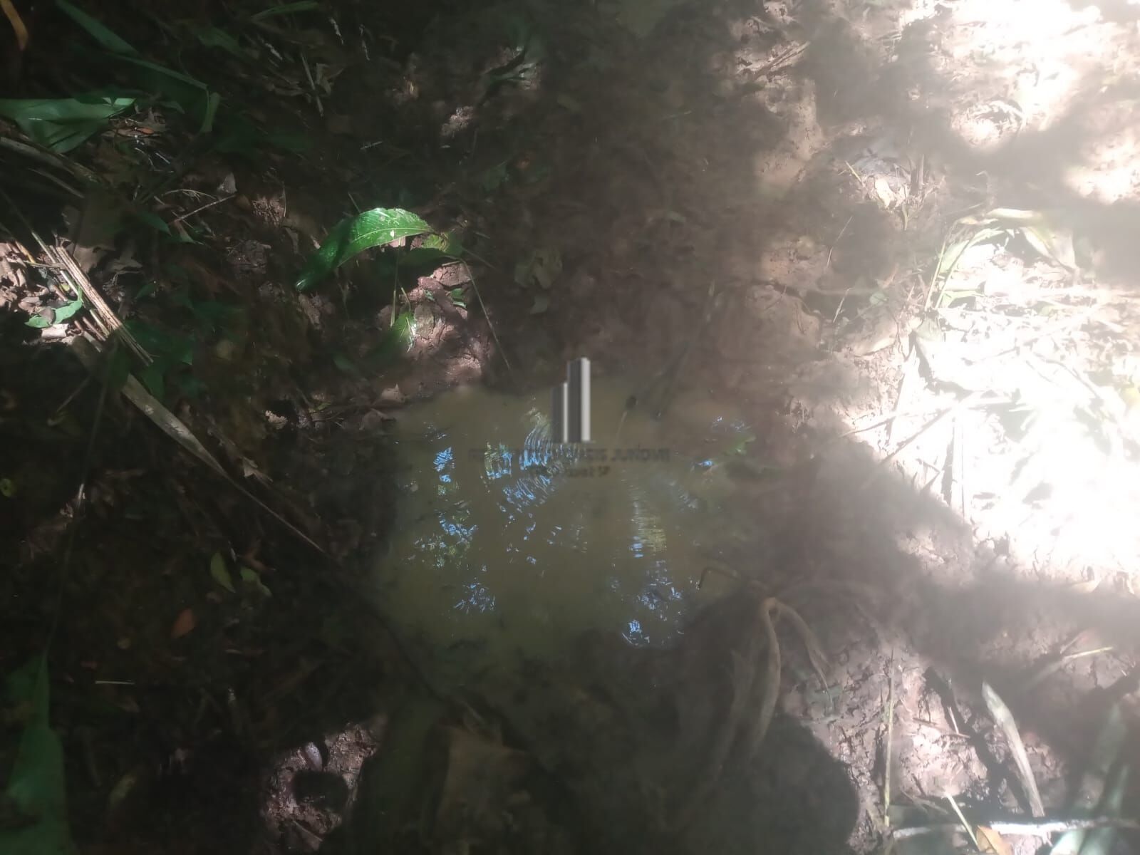 Terreno, 3500 m² - Foto 5