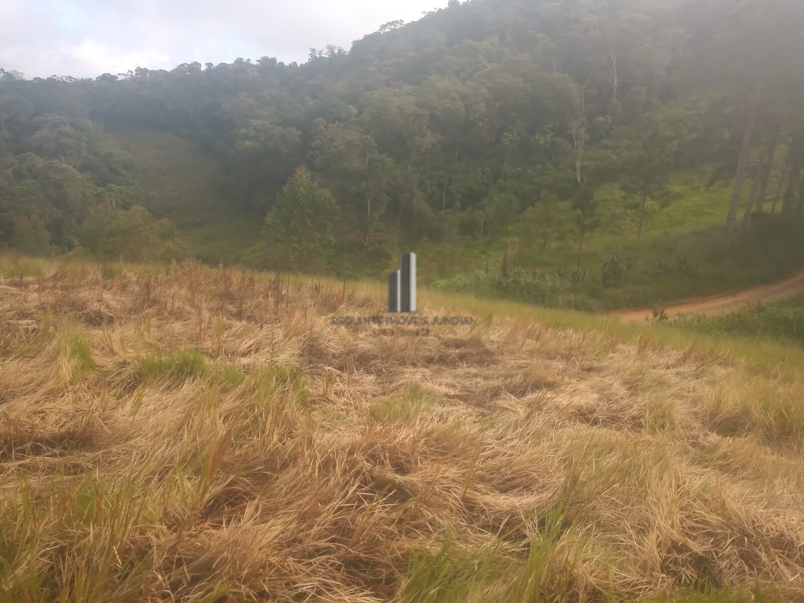 Terreno, 3500 m² - Foto 4