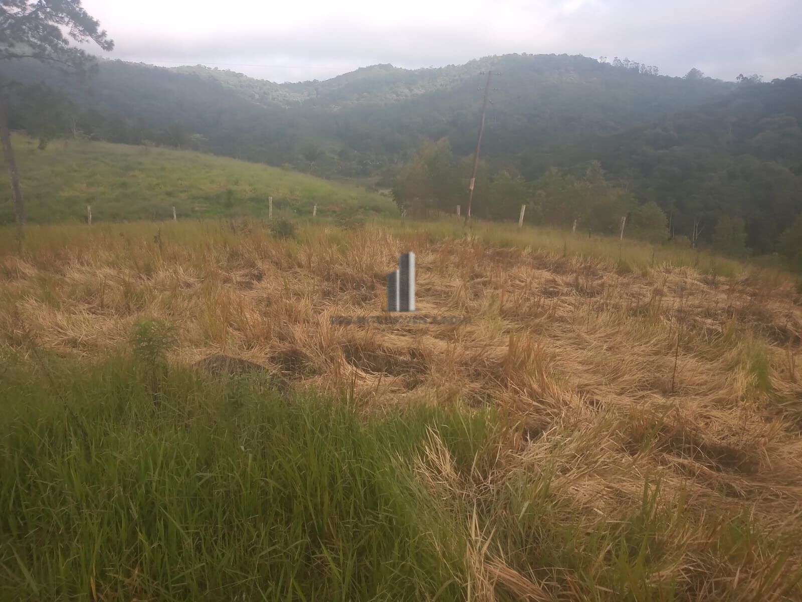 Terreno, 3500 m² - Foto 2