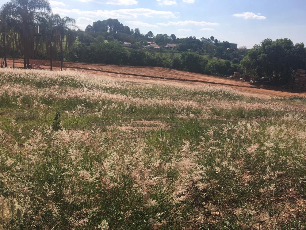 Terreno à venda - Foto 4