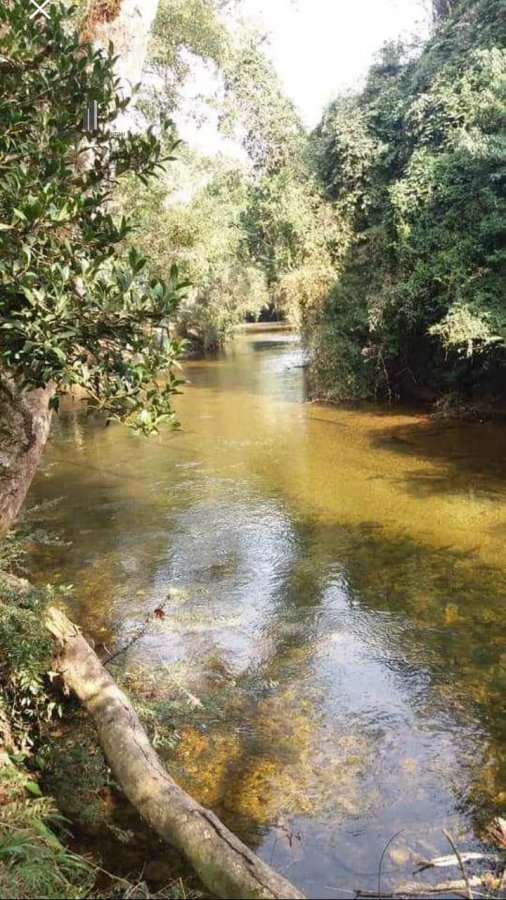 Fazenda à venda, 18500m² - Foto 8