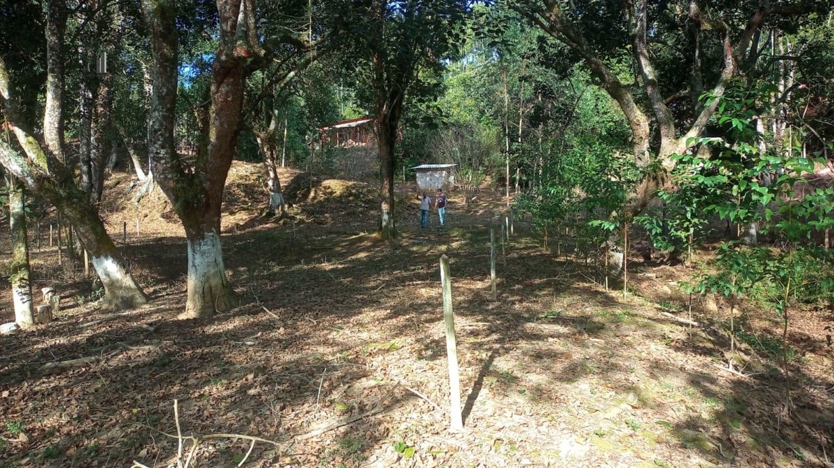 Fazenda à venda, 18500m² - Foto 6