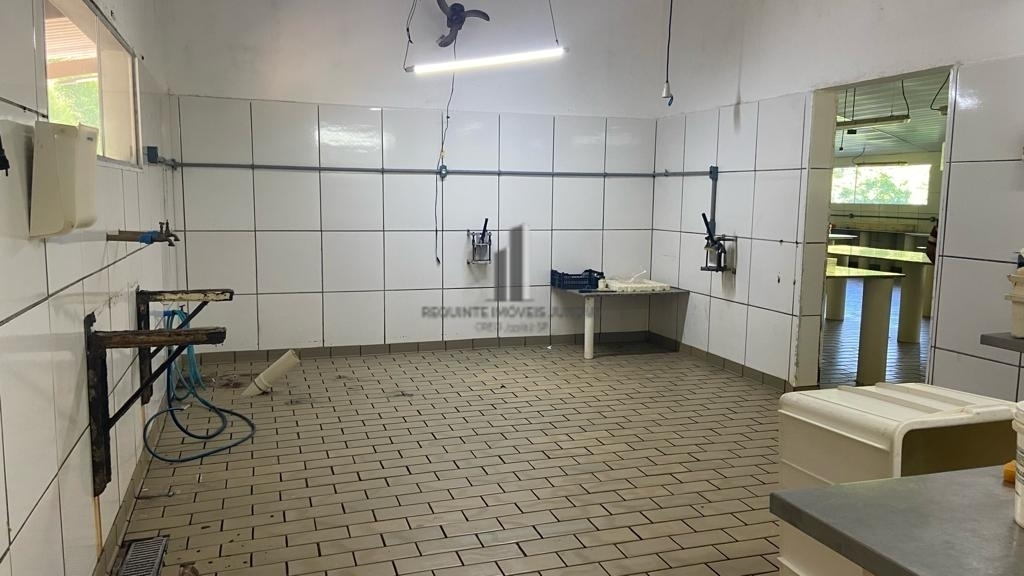 Fazenda para alugar com 6 quartos, 67010m² - Foto 18