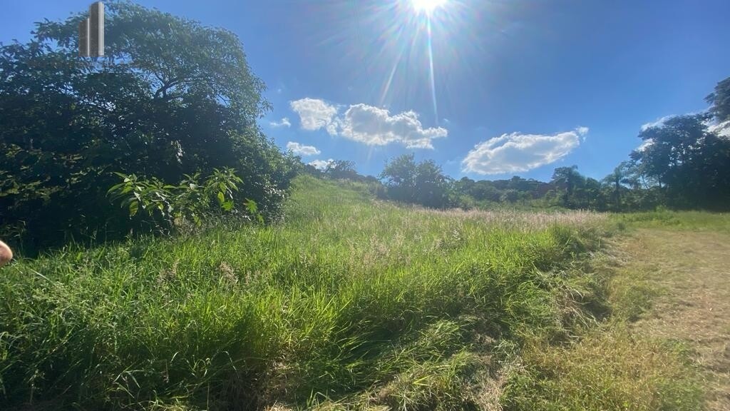 Fazenda para alugar com 6 quartos, 66000m² - Foto 7