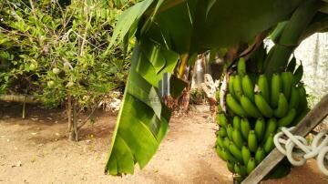 Casa, 3 quartos, 284 m² - Foto 32