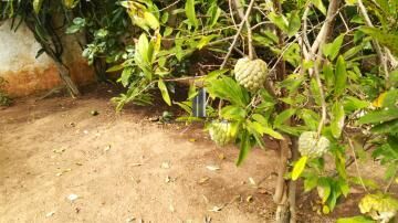 Casa, 3 quartos, 284 m² - Foto 33