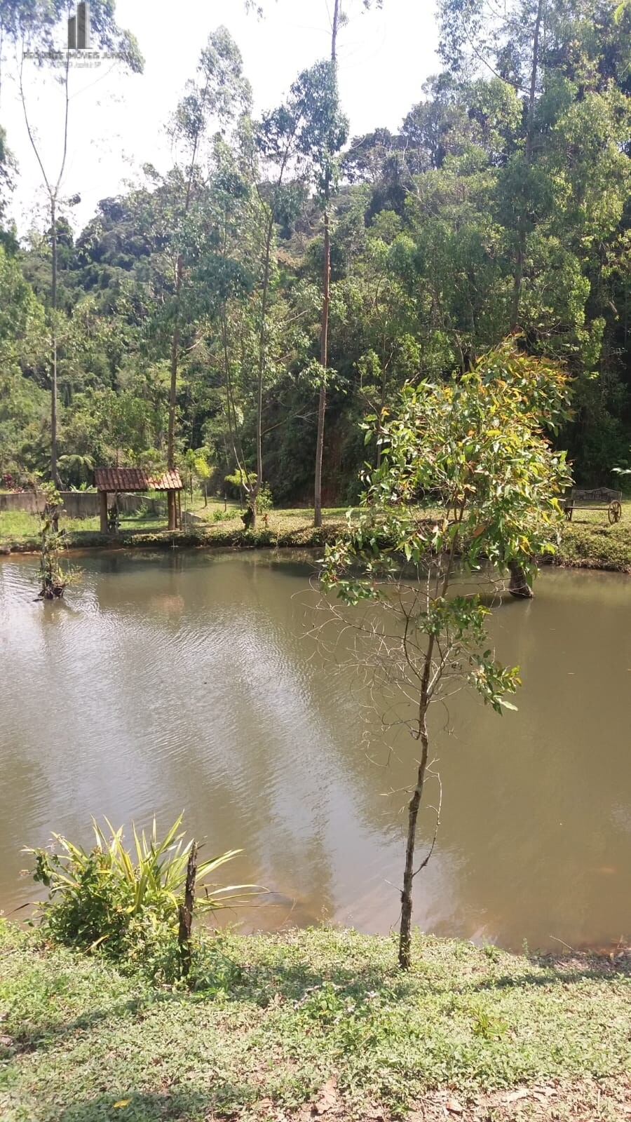 Fazenda à venda com 3 quartos, 81000m² - Foto 5