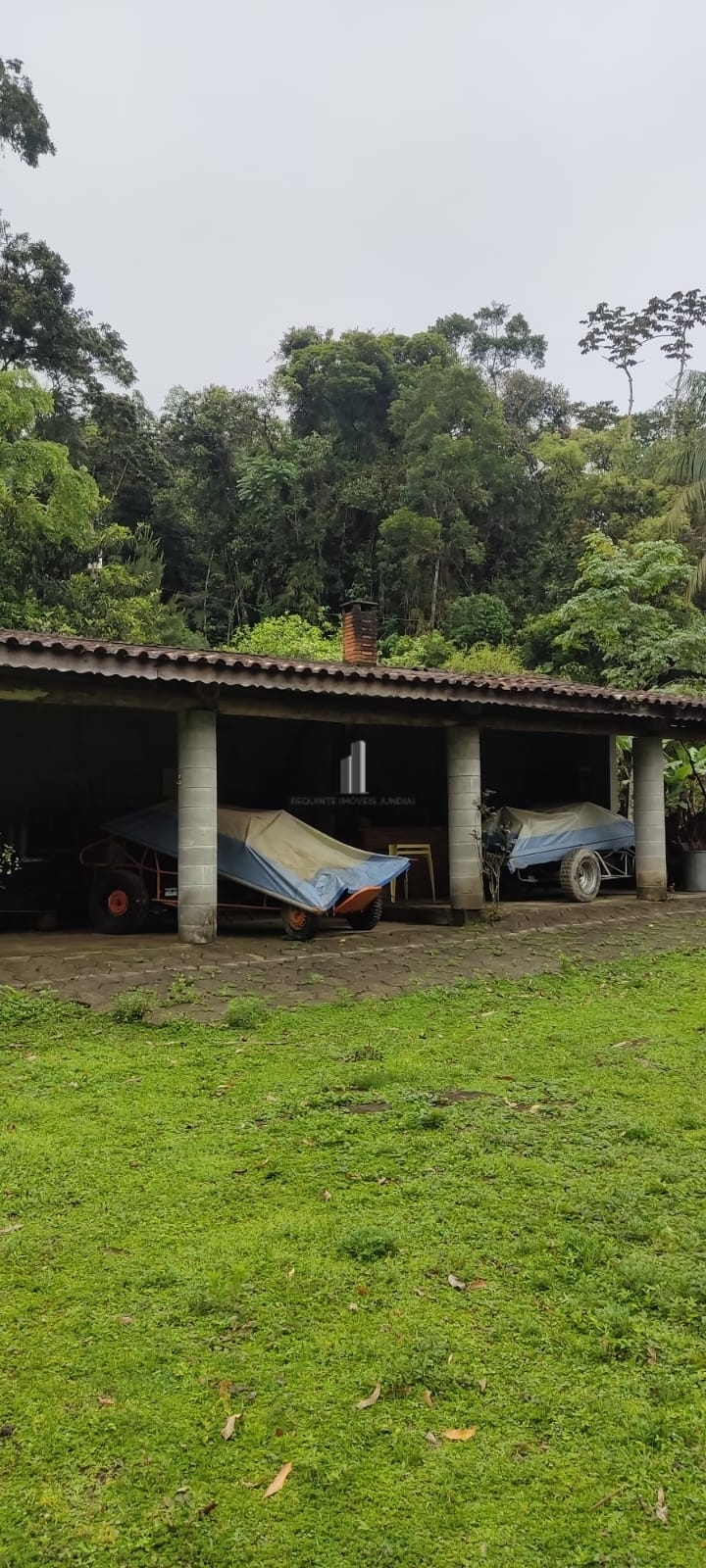 Fazenda à venda com 3 quartos, 81000m² - Foto 13