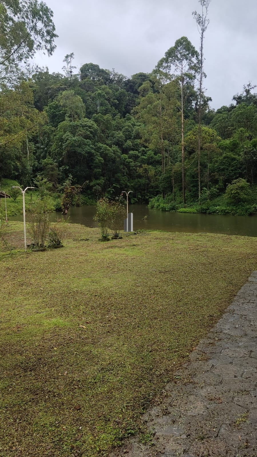 Fazenda à venda com 3 quartos, 81000m² - Foto 17