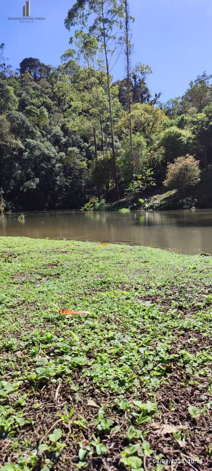 Fazenda à venda com 3 quartos, 81000m² - Foto 7