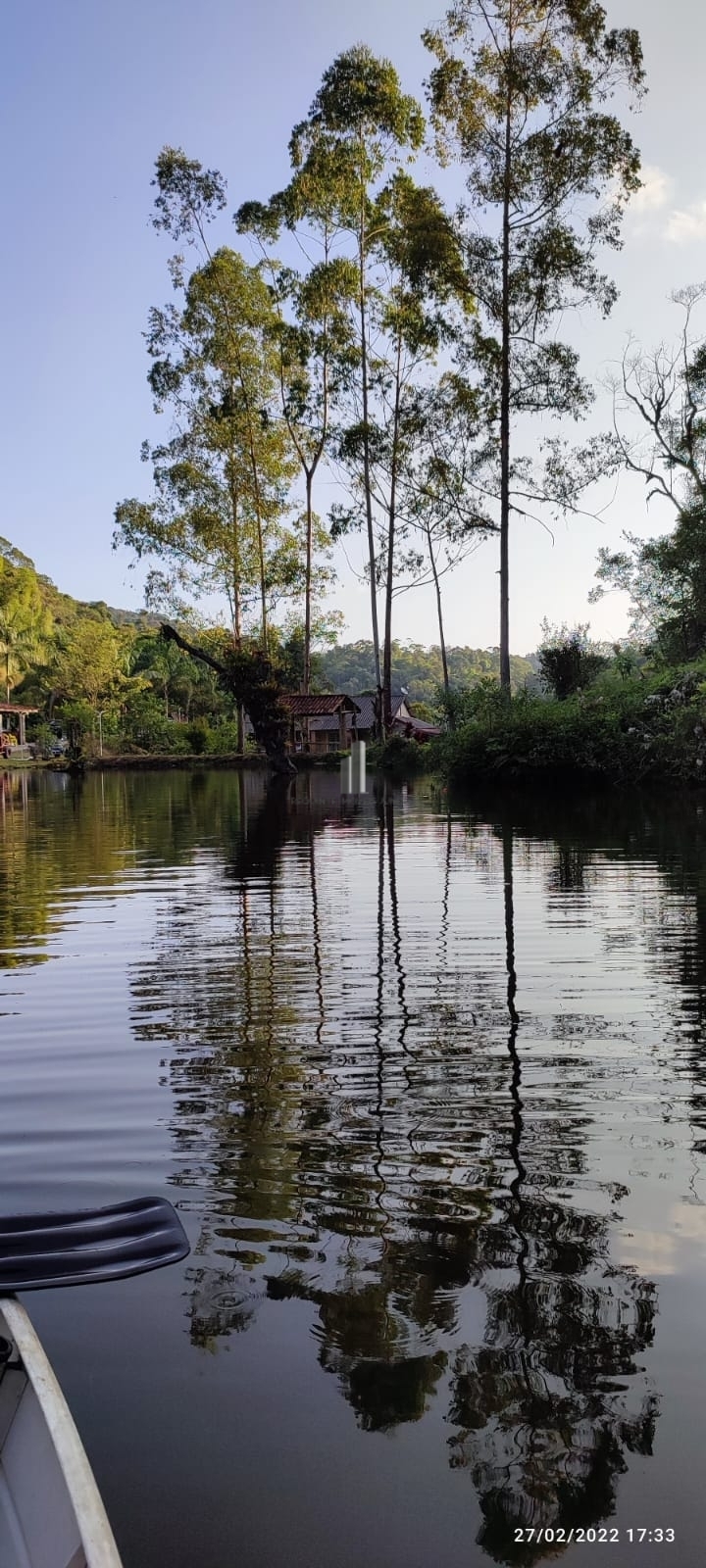 Fazenda à venda com 3 quartos, 81000m² - Foto 6