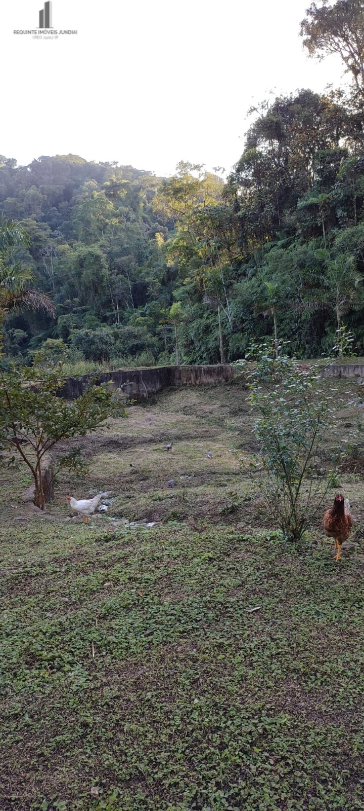 Fazenda à venda com 3 quartos, 81000m² - Foto 8