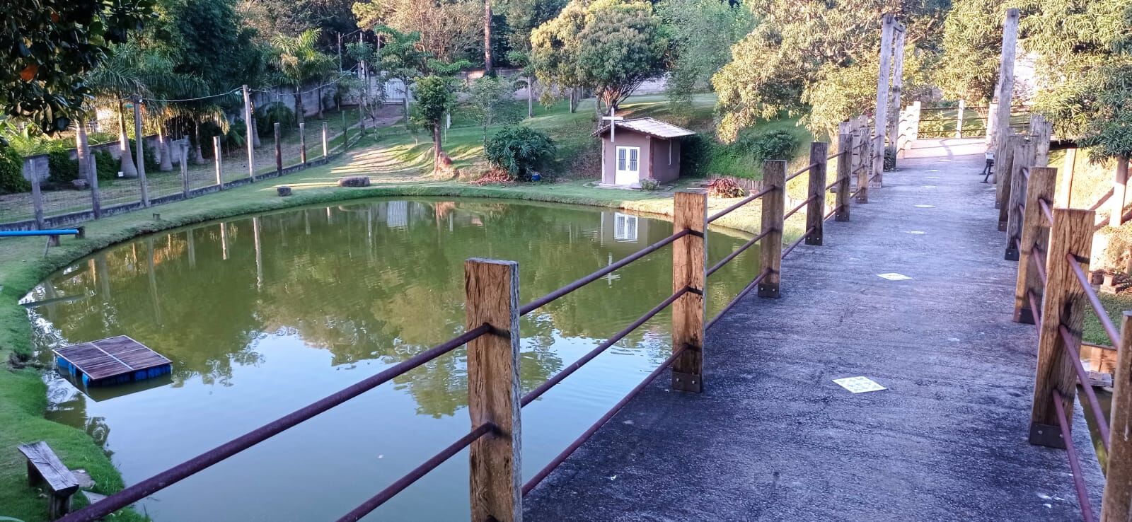 Fazenda à venda com 3 quartos, 7000m² - Foto 2