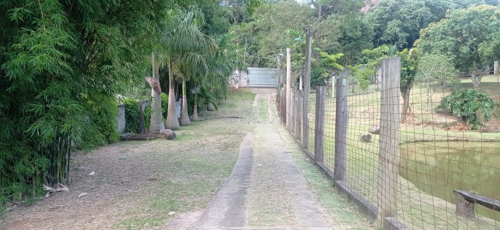 Fazenda à venda com 3 quartos, 7000m² - Foto 9