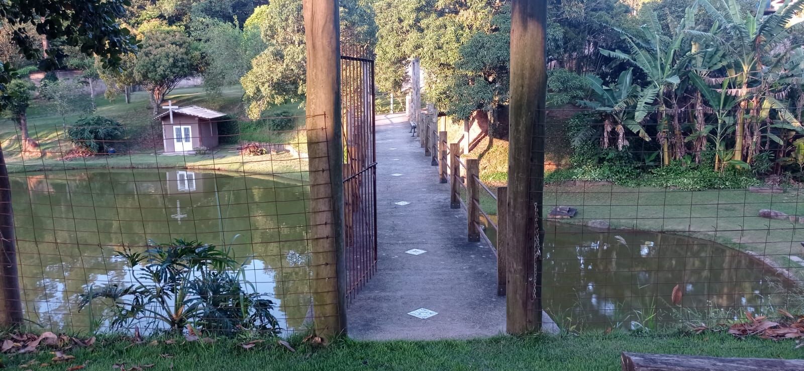 Fazenda à venda com 3 quartos, 7000m² - Foto 19