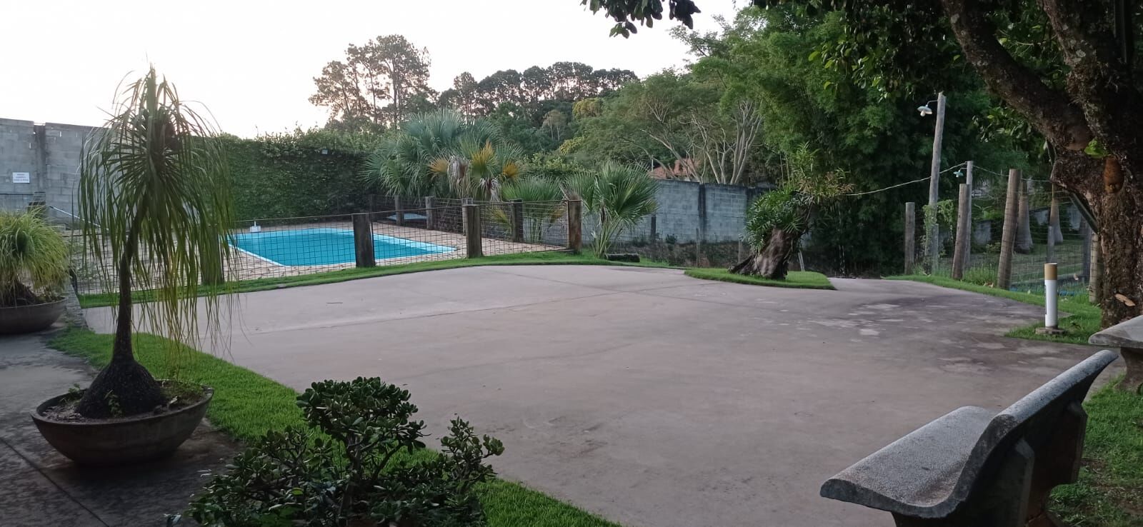 Fazenda à venda com 3 quartos, 7000m² - Foto 6