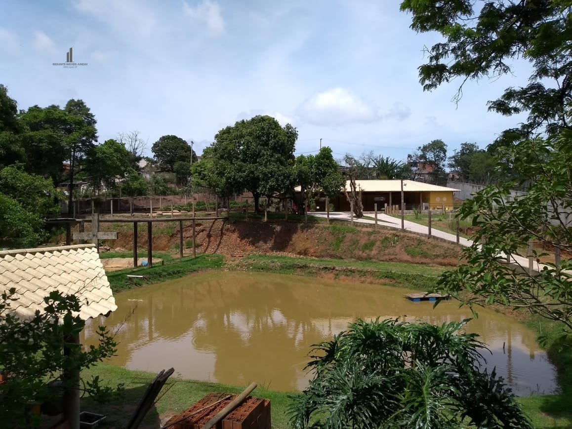 Fazenda à venda com 3 quartos, 7000m² - Foto 12