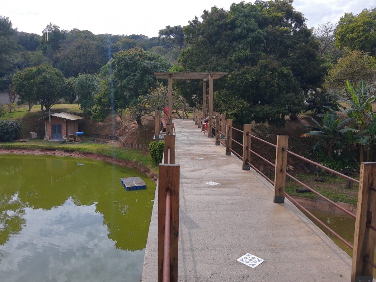 Fazenda à venda com 3 quartos, 7000m² - Foto 5