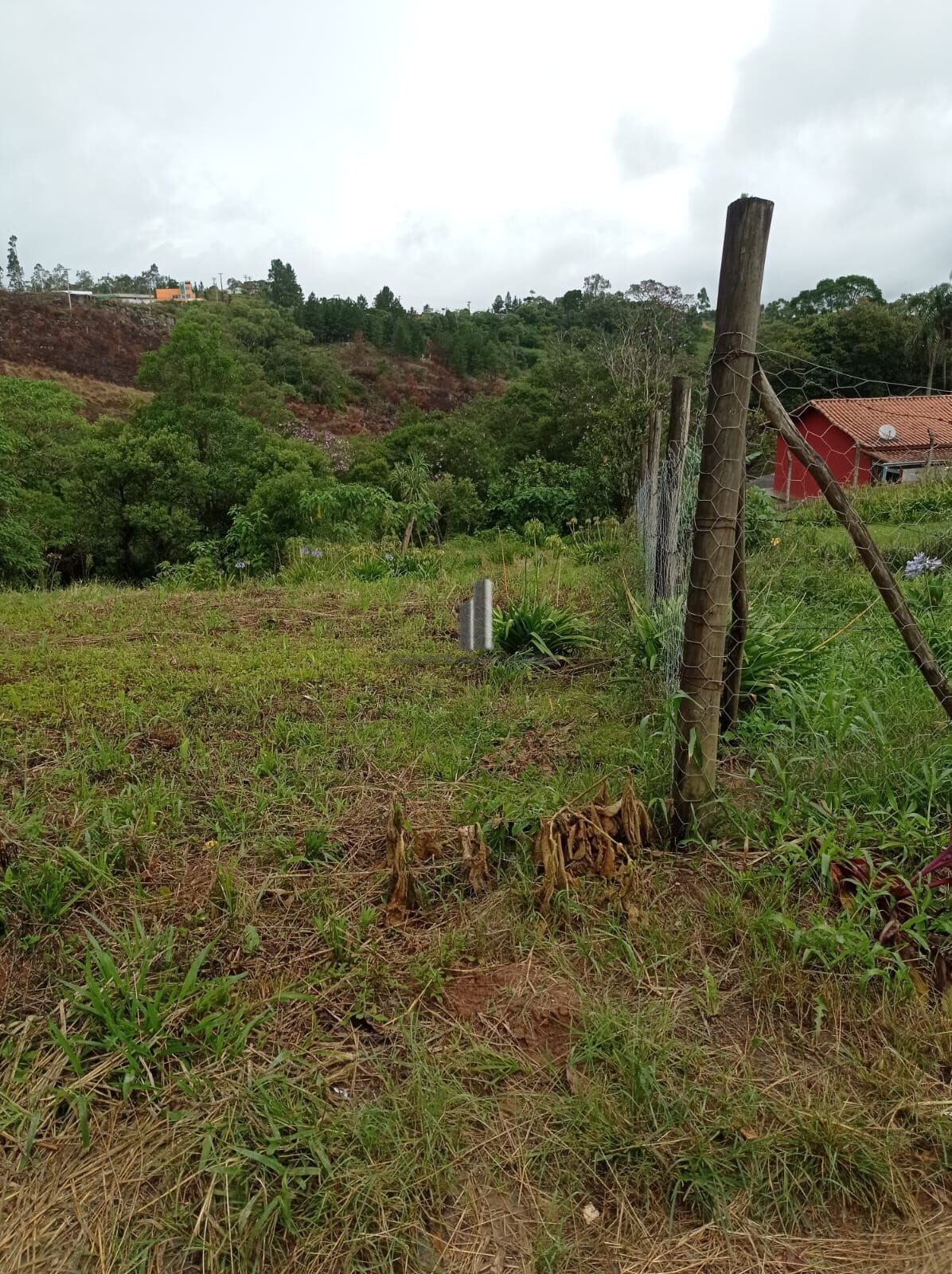 Terreno à venda, 2769m² - Foto 8