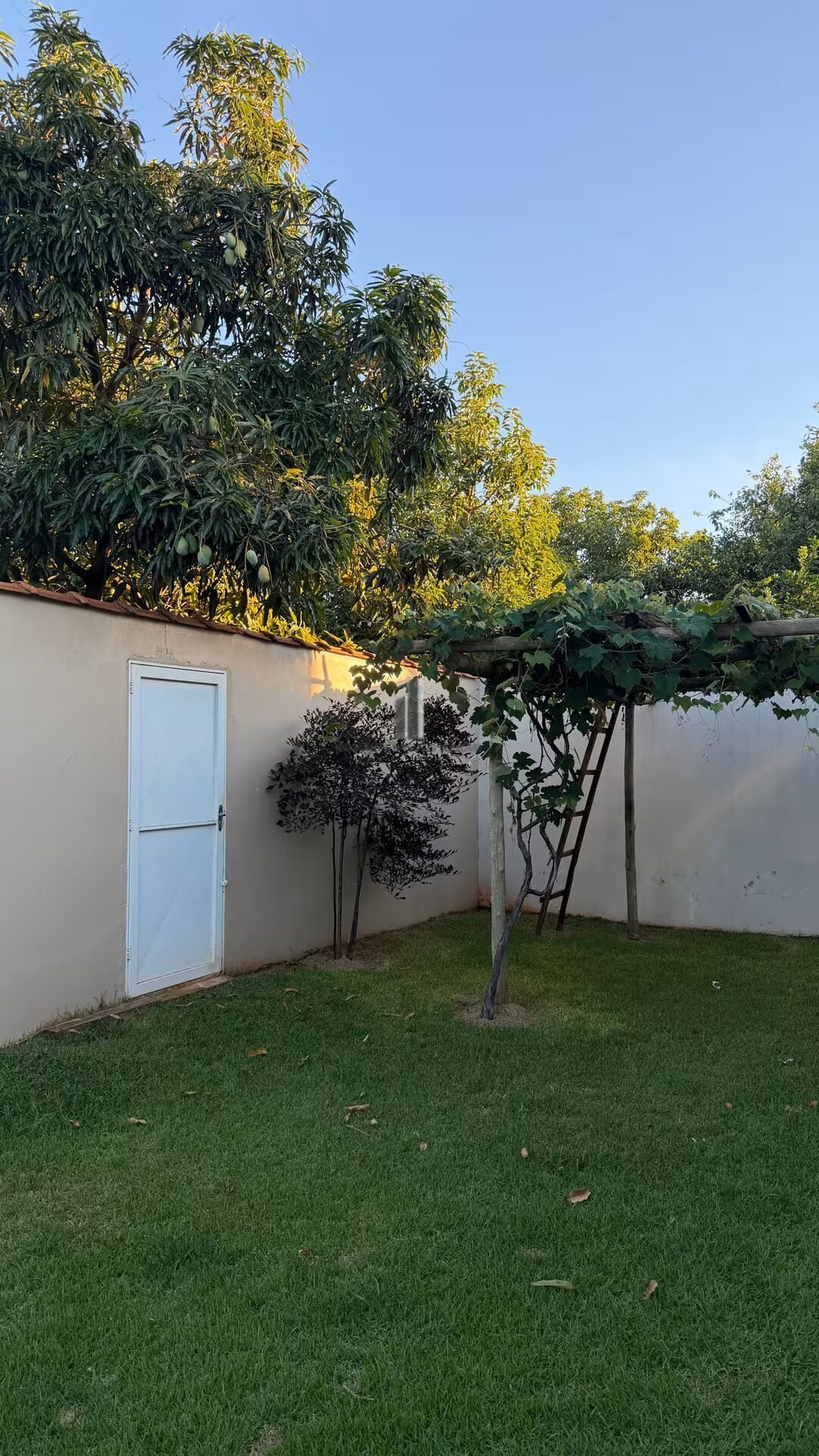 Chácara, 4 quartos, 400 m² - Foto 17