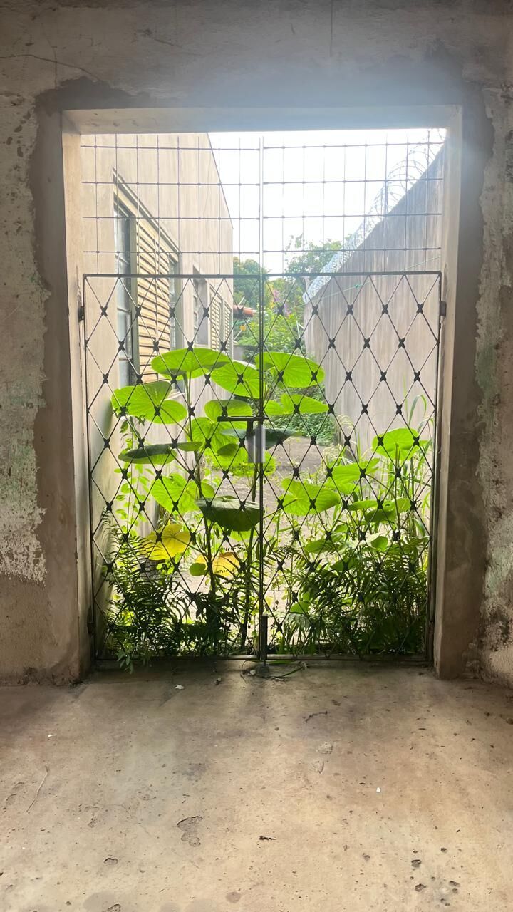 Casa à venda com 3 quartos, 162m² - Foto 21