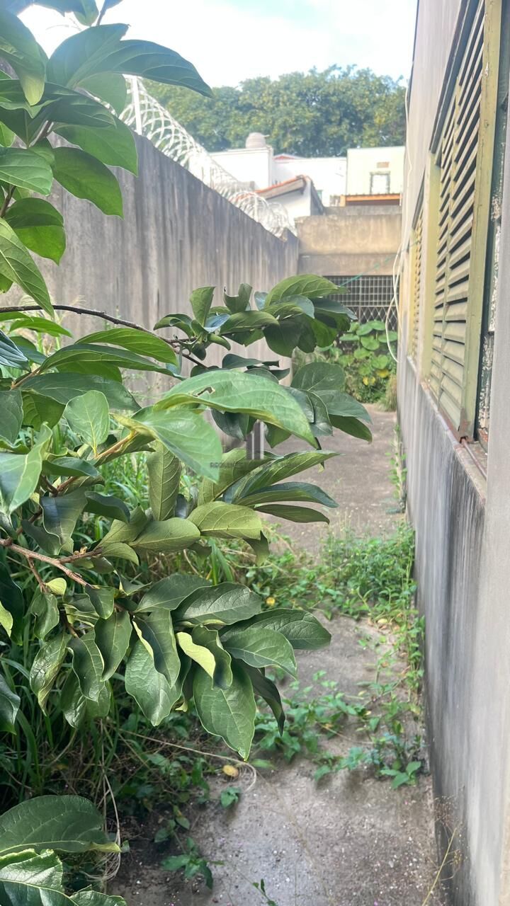Casa à venda com 3 quartos, 162m² - Foto 14