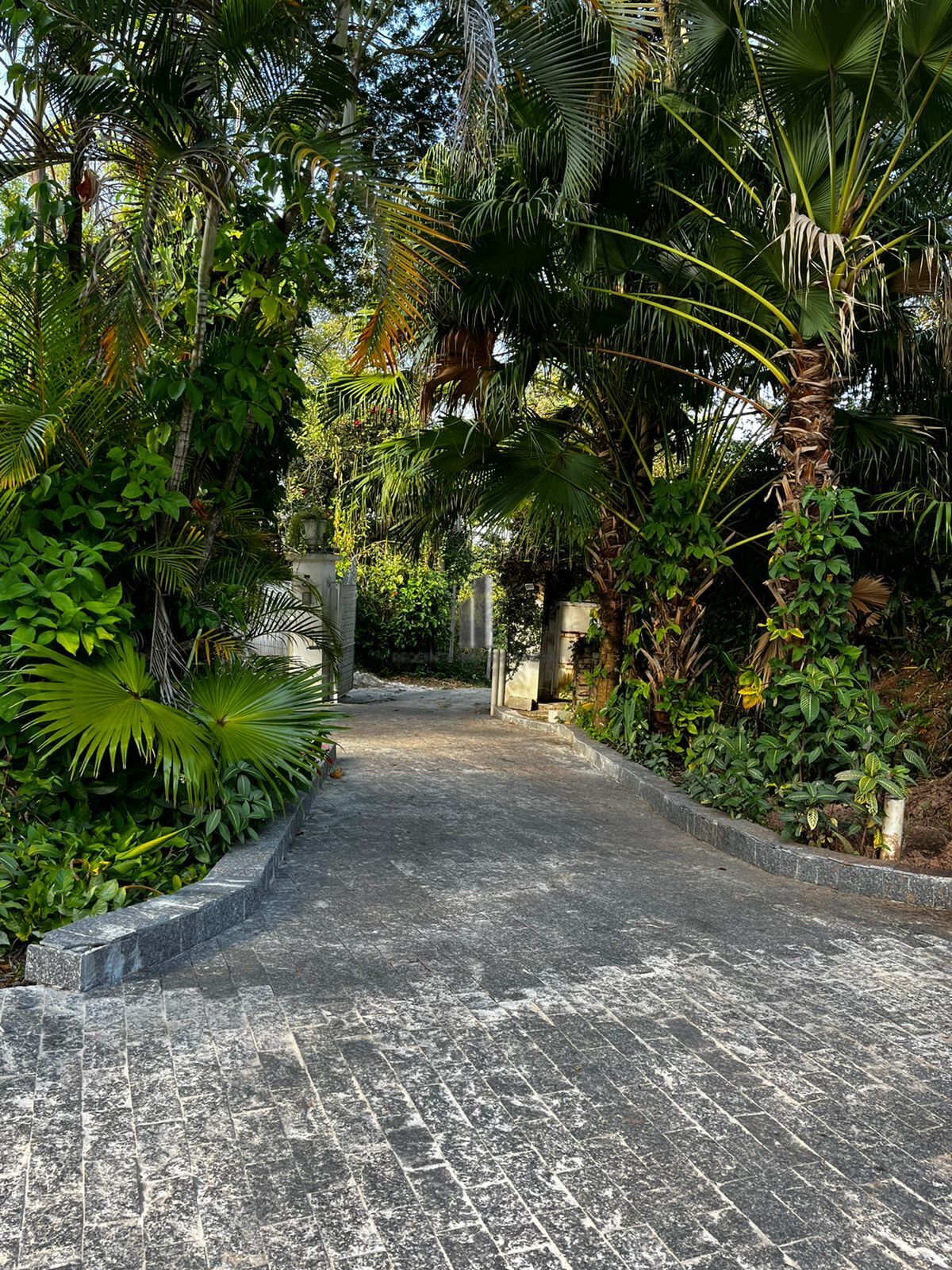 Chácara, 7 quartos, 10000 m² - Foto 19