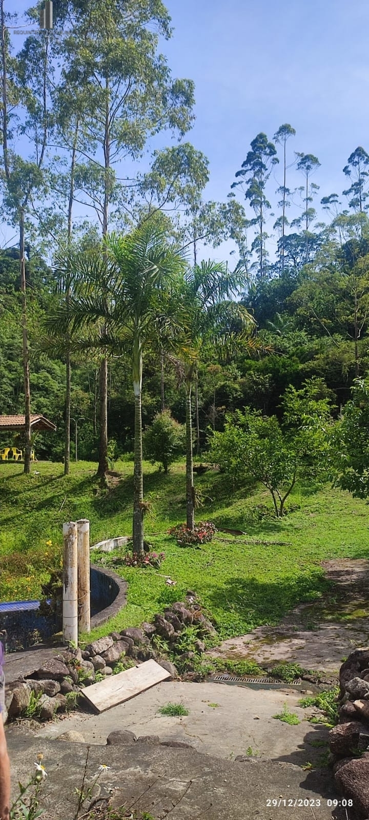 Fazenda à venda com 3 quartos, 81000m² - Foto 4