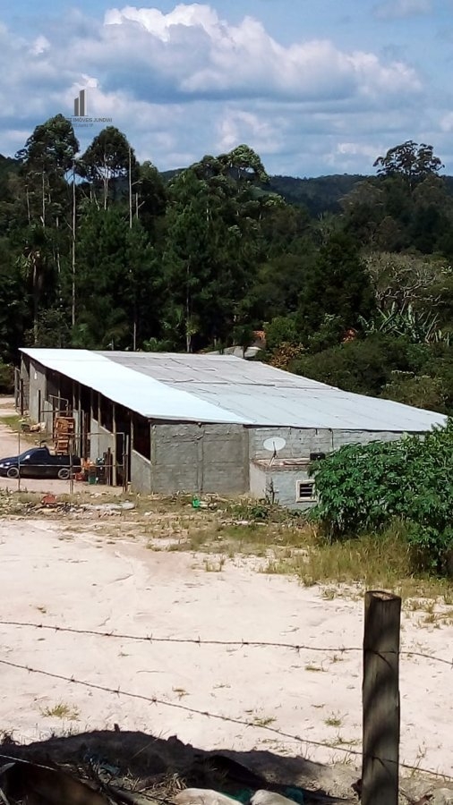 Fazenda à venda com 6 quartos, 302500m² - Foto 23