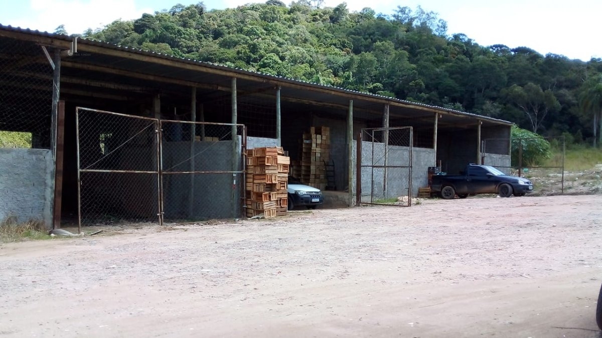 Fazenda à venda com 6 quartos, 302500m² - Foto 35