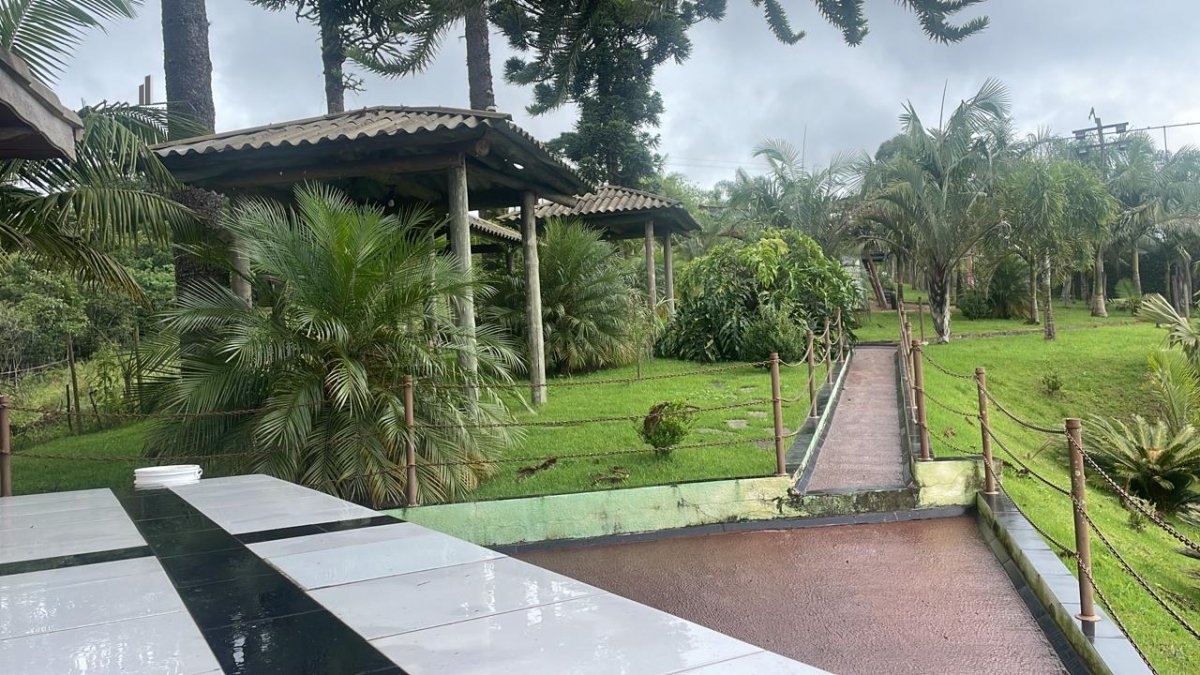 Fazenda à venda com 6 quartos, 302500m² - Foto 4