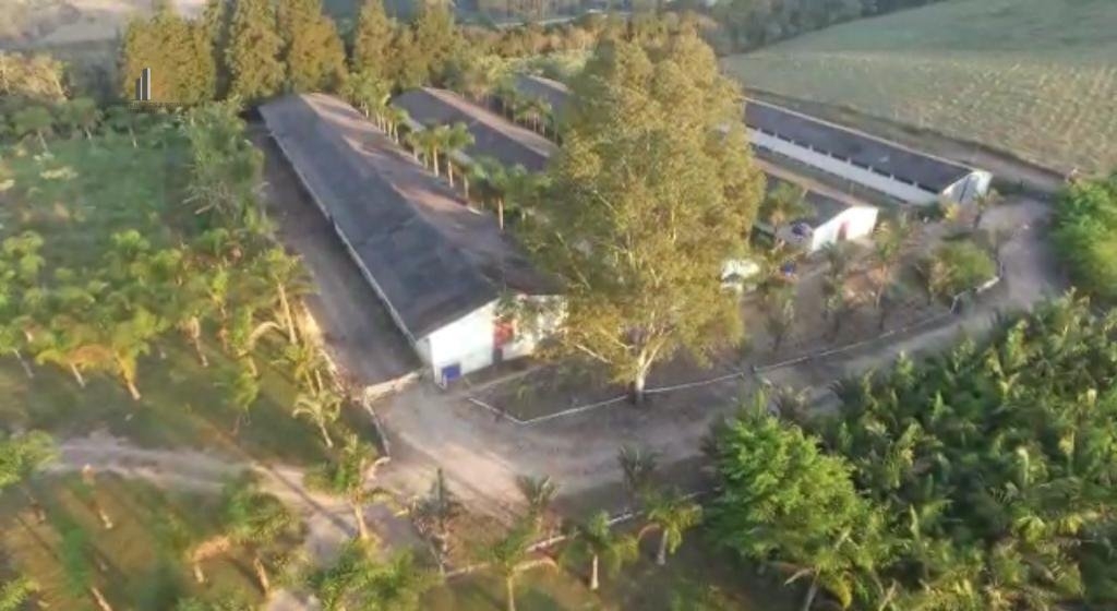 Fazenda à venda com 6 quartos, 302500m² - Foto 8