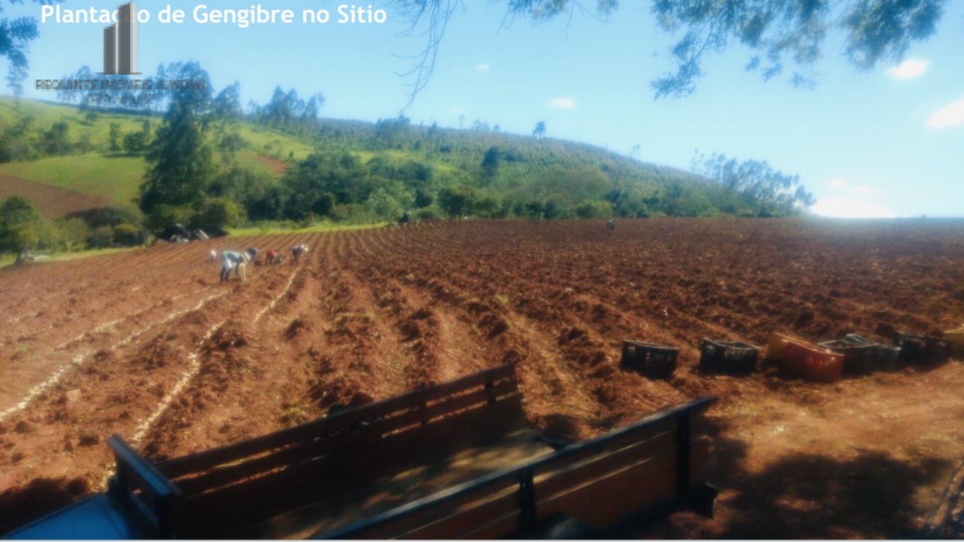 Fazenda à venda, 72000m² - Foto 2