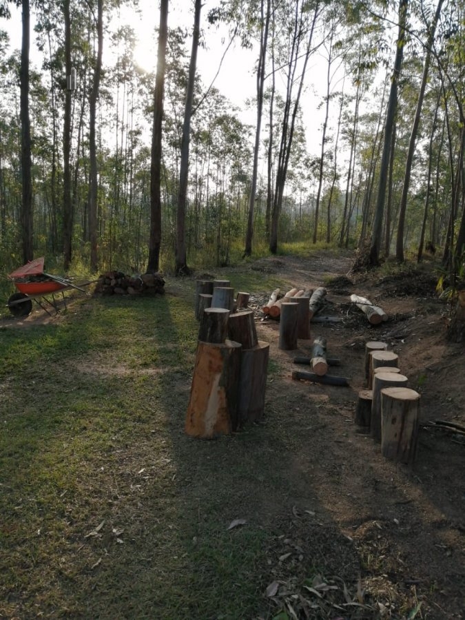 Fazenda à venda com 2 quartos, 100m² - Foto 17