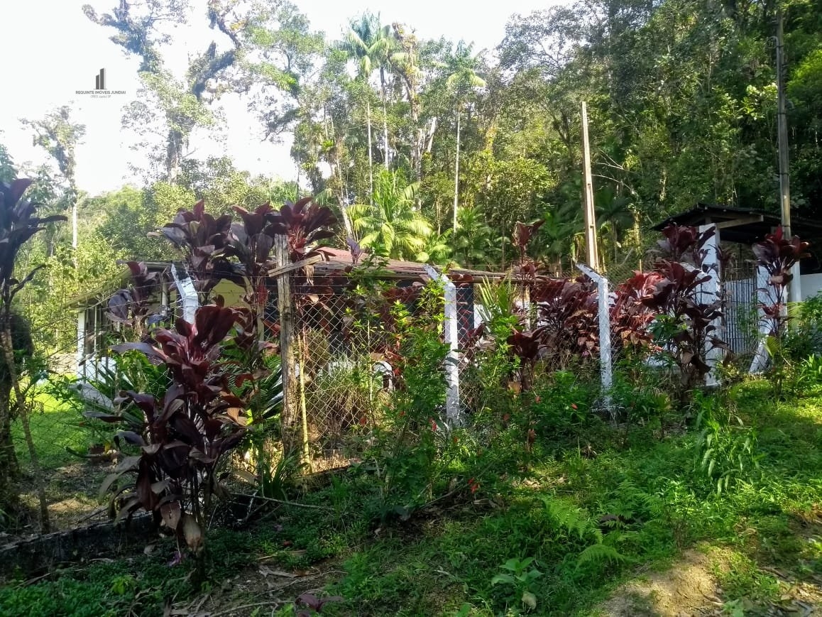 Fazenda à venda com 3 quartos, 58000m² - Foto 12