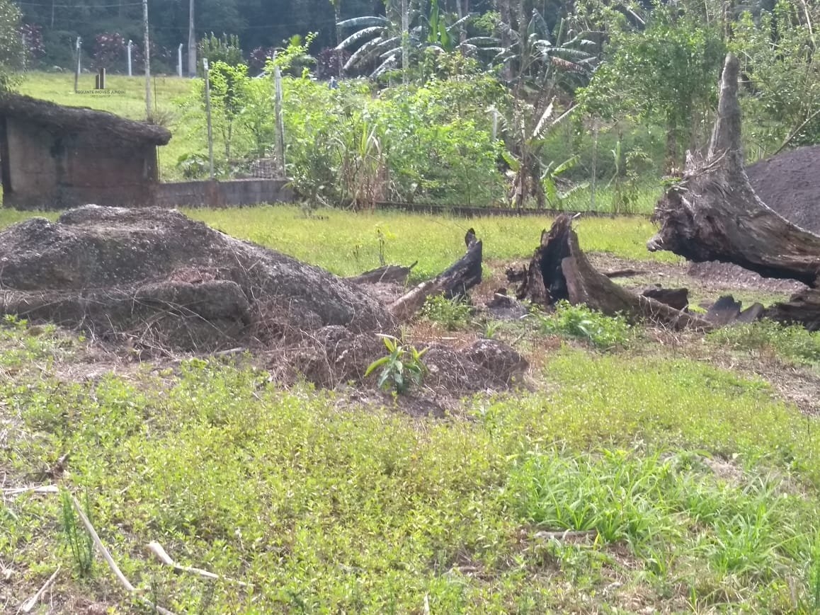 Fazenda à venda com 3 quartos, 58000m² - Foto 7